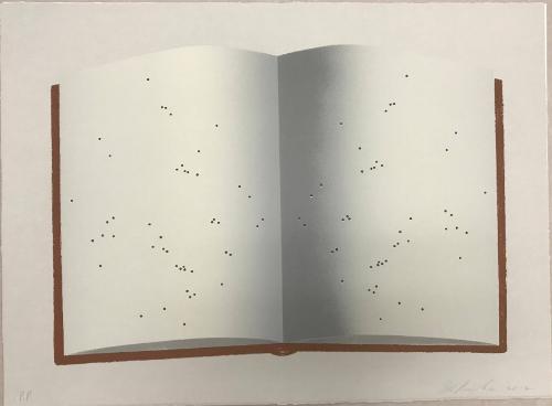Open Book with Worm Holes