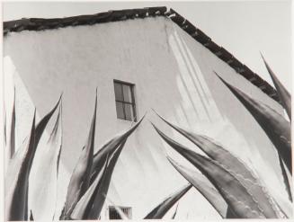 Ventana a los magueyes, from 15 Photographs by Manuel Alvarez Bravo