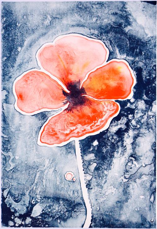 Poppy (TAM.1479)